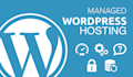provide cheap rate domain and hosting
