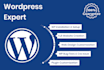 fix your wordpress plugin issues and do custom modifications