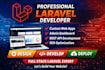 develop a professional laravel website or web application