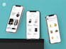 develop a custom ios and android mobile app for you