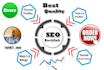 create da70 plus permanent backlinks manually