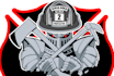 do perfect embroidery digitizing into dst 1 hours