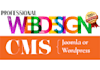 design a wordpress or joomla website for your business