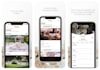 do custom ios app development with API backend or supabase