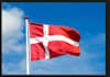 perfectly translate from danish to English
