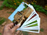 send 2 postcards from kerala, india to anyone anywhere