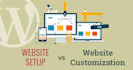 do wordpress website customization