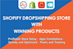 create shopify dropshipping store shopify website