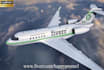 put your logo on a luxury business jet airplane video