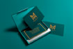 design professional business card and bonus