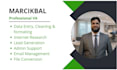 be a virtual assistant for data entry, leads, admin