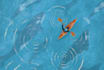 do a conceptual and editorial illustration for book, poster