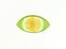 do animation and motion graphics
