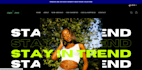 build shopify website, shopify dropshipping store