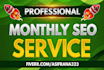 provide monthly drip feed SEO service to boost website ranking