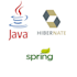 teach java spring hibernate nodejs and javascript