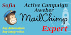 expert as your mailchimp, aweber, active campaign automation