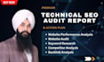 do ai SEO website audits, ai visibility, insight and competitor analysis