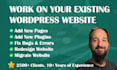 improve your wordpress website
