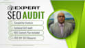 provide website SEO audit