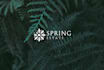 do modern logo design for your website or store