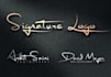do professional signature logo design
