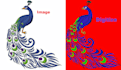 convert your image into an embroidery file in few hours