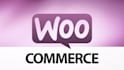 create wordpress  woocommerce website