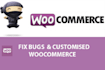 do wordpress bug fixes, woocommerce fixes, and website repairs