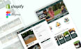 design and develop a custom shopify website for your brand