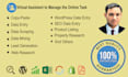 virtual assistant managing SEO, wordpress, online data entry