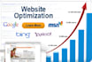 optimise websites as quickly as possible