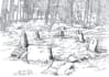 create high quality ink drawing on the paper with a detailed and artistic touch