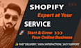 design shopify website,shopify store and ecommerce store