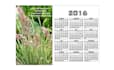create a professional designable 2016 calender