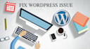 fix any wordpress issue within 8 hours
