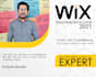 design or redesign your wix website or wix online store