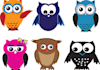 sell you 6 Owl Vector Illustrations