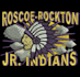 embroidery digitizing, logo, digitize image for embroidery in dst, pes in 1 hour