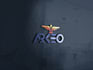 design a professional  logo within a short time