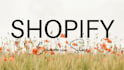 seo shopify product description