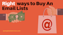 deliver niche targeted email list of any country