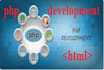 develop, fix your php website and application