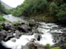 do any research on environmental science