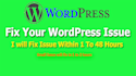 fix wordpress issues in wordpress fast