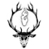 ink a real high quality illustration for you