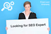 provide high quality SEO backlinks