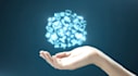 do asp net mvc core webform webapi project