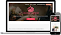 design and develop a stunning wordpress website