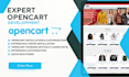 install customize and develop professional opencart website